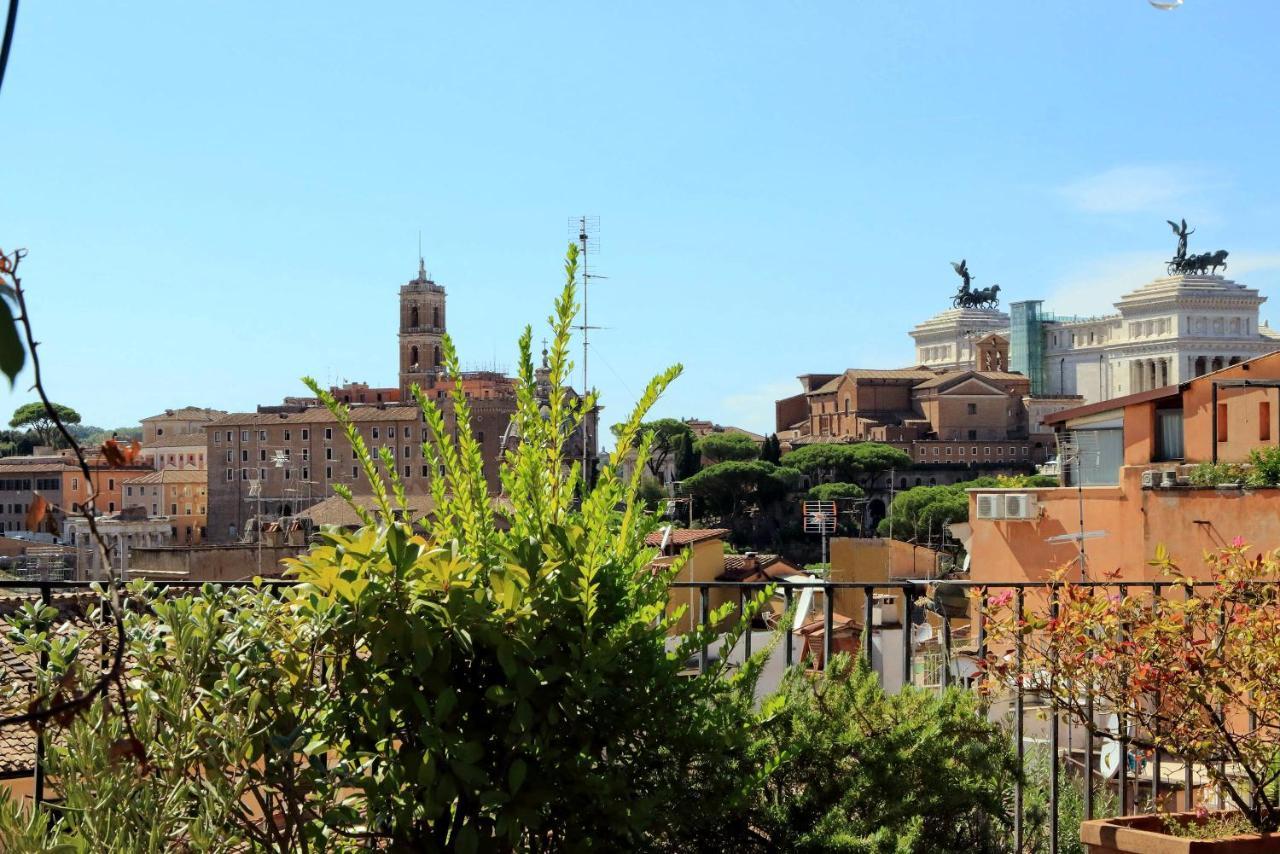 Colosseo Lägenhet *